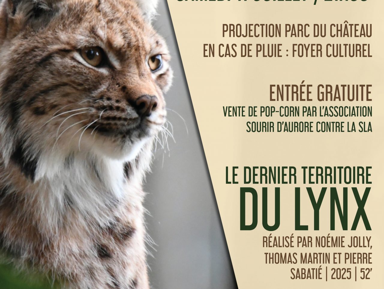 LES PROJECTIONS ITINERANTES