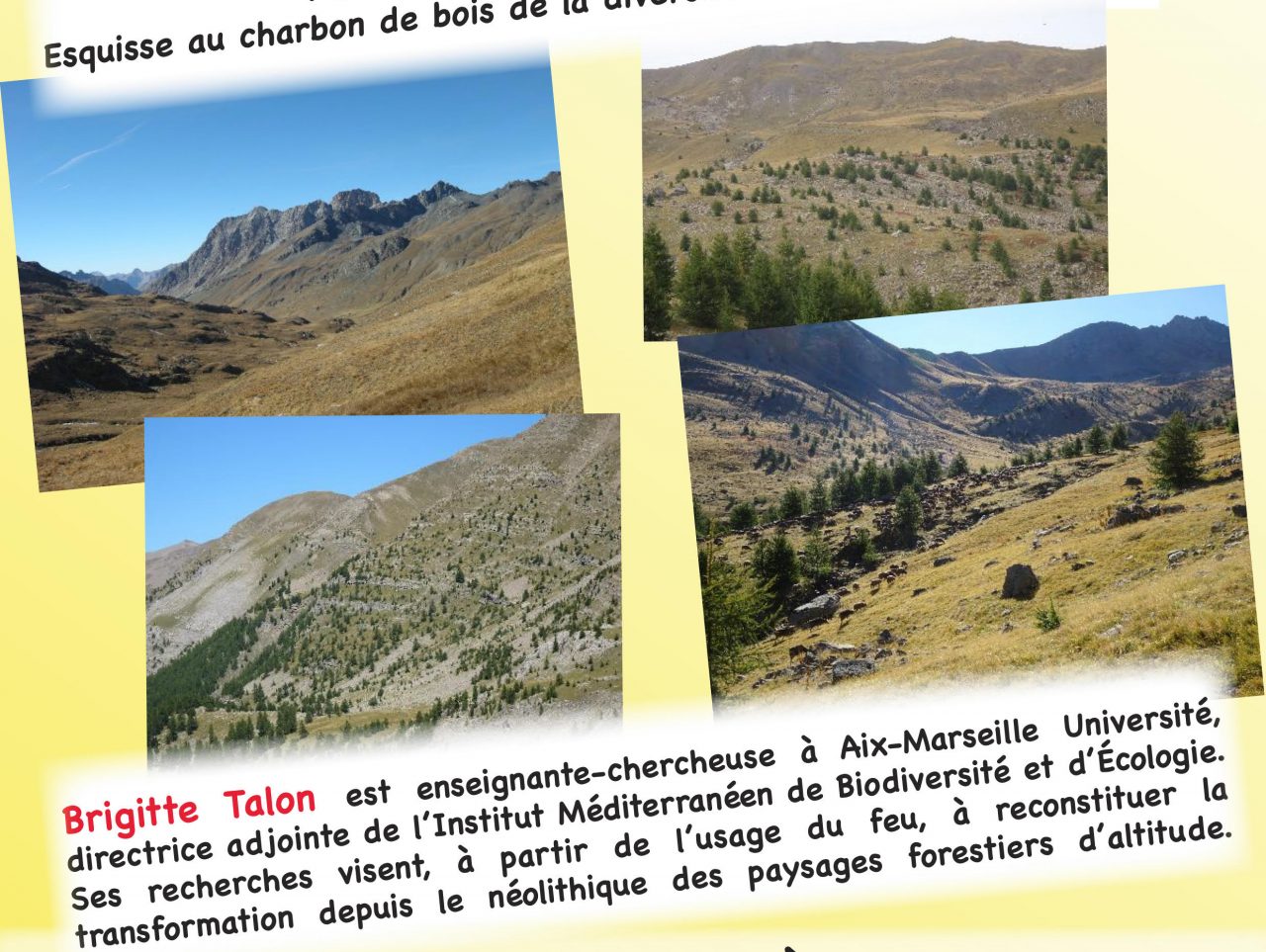 CONFERENCE SUR LES FORETS